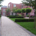 Foto 100_2026