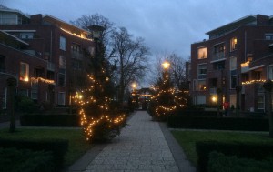 kerstbomen