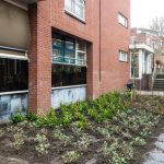 20240229_01650_VergroeningJPbkhf-Verbeterd-NR-web1